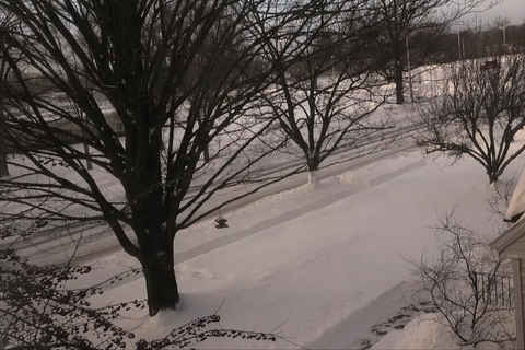 Snow time-lapse January 2019